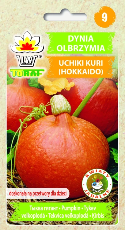 Dynia-olbrzymia-UCHIKI-KURI.webp