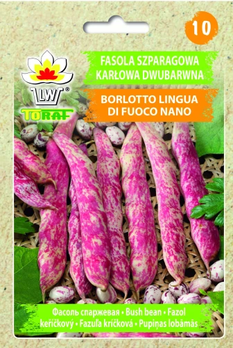Fasola-BORLOTTO-LINGUA-DI-FUOCO-NANO.webp