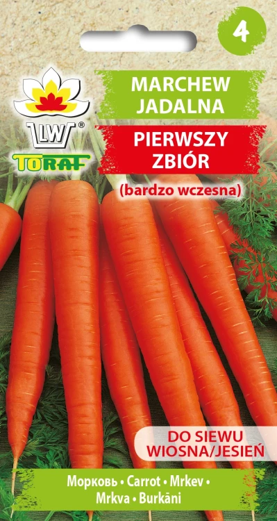 Marchew-jadalna-PIERWSZY-ZBIÓR.webp