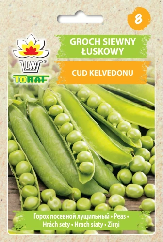 Groch-CUD-KELVEDONU.webp