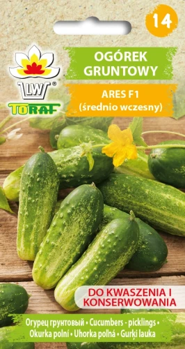 Ogórek-gruntowy-ARES.webp