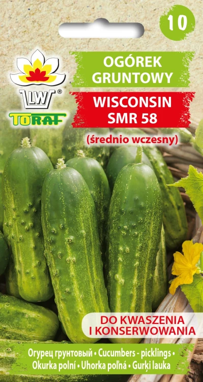 Ogórek-gruntowy-WISCONSIN-SMR-58.webp