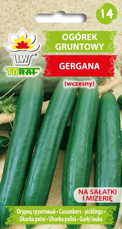 Ogórek-gruntowy-sałatkowy-GERGANA.webp