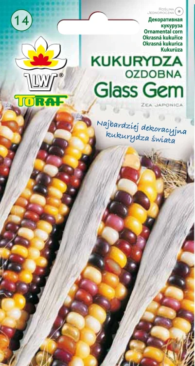 Kukurydza-ozdobna-GLASS-GEM.webp