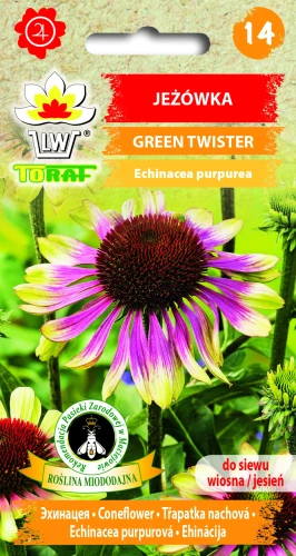 Jeżówka-GREEN-TWISTER.webp