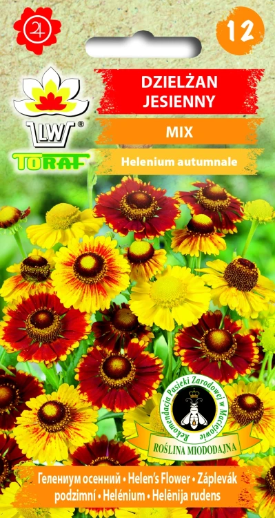 Dzielżan-jesienny-MIX.webp