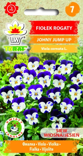 Fiołek-rogaty-JOHNY-JUMP-UP.webp