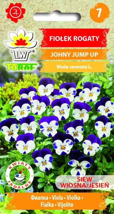 Fiołek-rogaty-JOHNY-JUMP-UP.webp