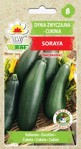 Cukinia-SORAYA.webp