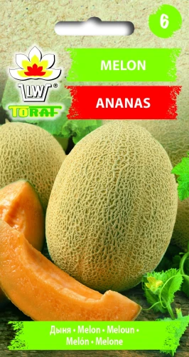 melon-ananas.webp