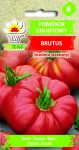 Pomidor-BRUTUS.webp
