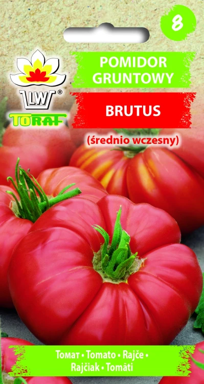 Pomidor-BRUTUS.webp