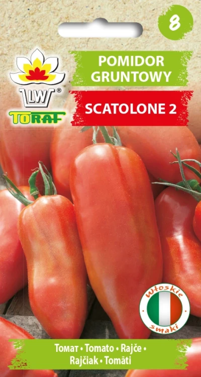 Pomidor-SCATALONE-2.webp