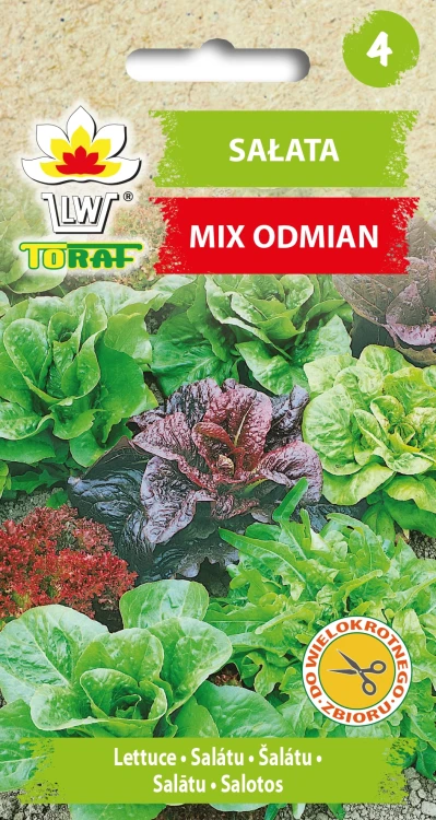 Sałata-MIX-odmian.webp