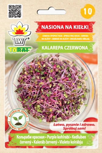kiełki-kalarepa-czerwona.webp