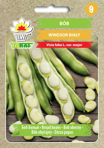Bób-WINDSOR.webp