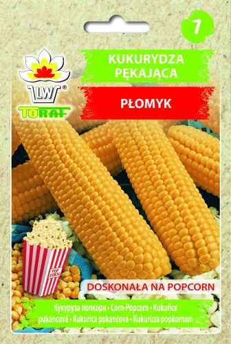 Kukurydza-pękająca-PŁOMYK.webp