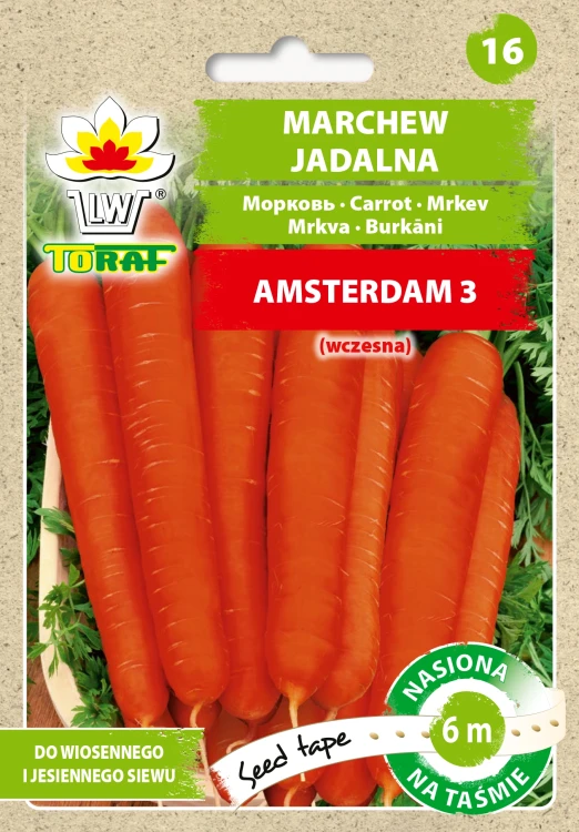 marchew-amsterdam-tasma.webp