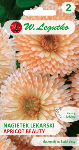 Nagietek-lekarski-Apricot-Beauty.jpg