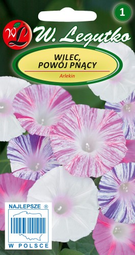 Wilec-Powoj-pnacy-Arlequin.jpg