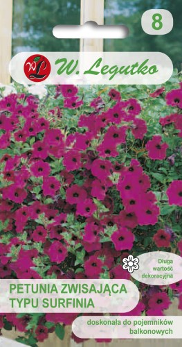 Petunia-zwisająca-typu-surfinia.jpg
