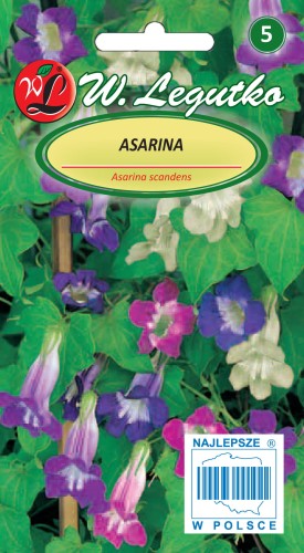 Asarina.jpg