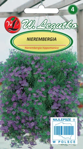 Nierembergia.webp