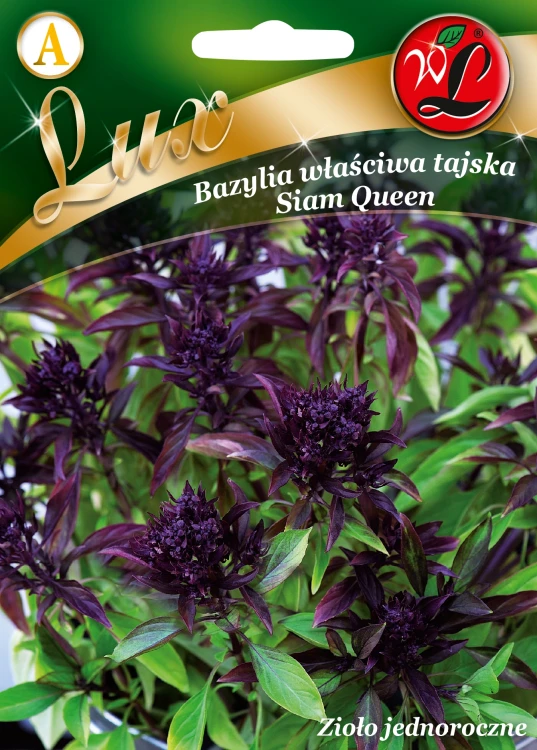 Bazylia-wlasciwa-tajska-Siam-Queen.webp