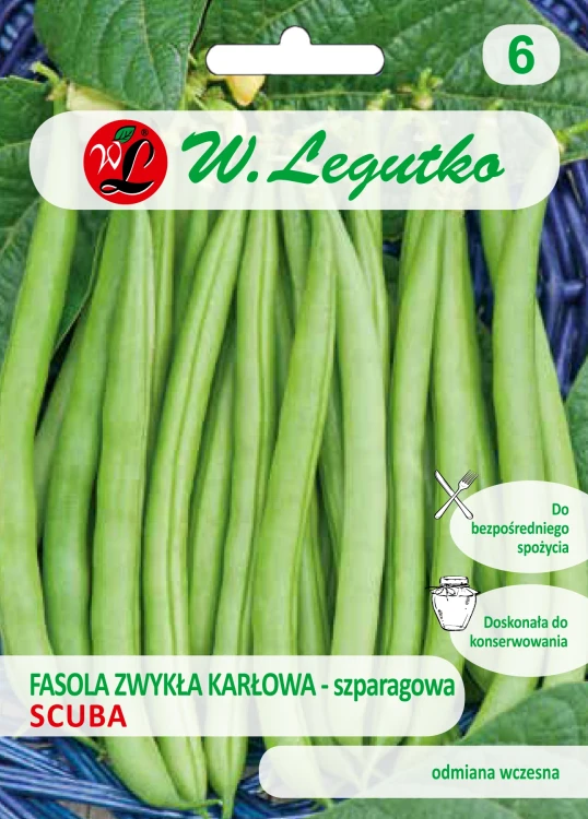 Fasola-zwykła-karłowa-szparagowa-SCUBA.webp