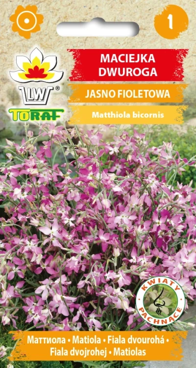 Maciejka-dwuroga.webp