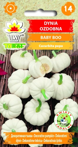 Dynia-ozdobna-Baby-Boo.webp