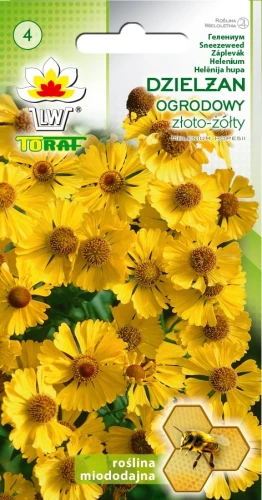 Dzielżan-ogrodowy-ZŁOTOŻÓŁTY.webp