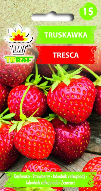 Truskawka-TRESCA.webp