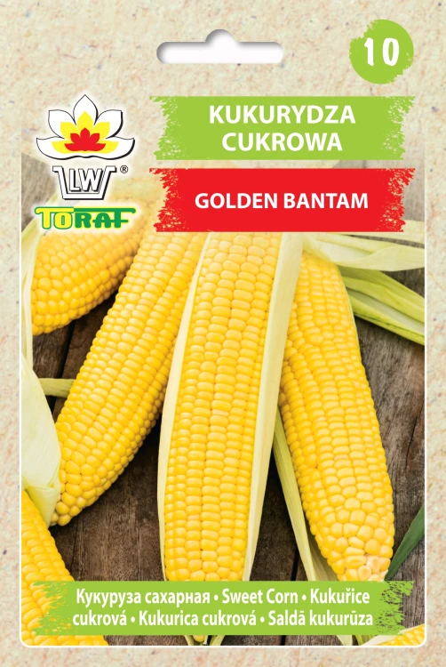 Kukurydza-cukrowa-GOLDEN-BANTAM.webp