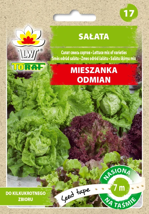 salata-mieszanka-odmian-tasma.webp