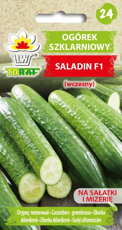 Ogórek-pod-osłony-SALADIN.jpg