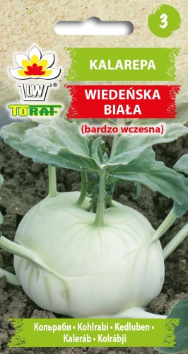 Kalarepa-WIEDEŃSKA-BIAŁA.jpg