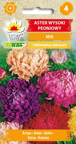 Aster-wysoki-peoniowy-MIX.jpg