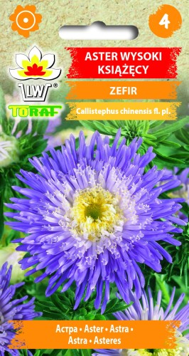 Aster-wysoki-książęcy-ZEFIR.jpg