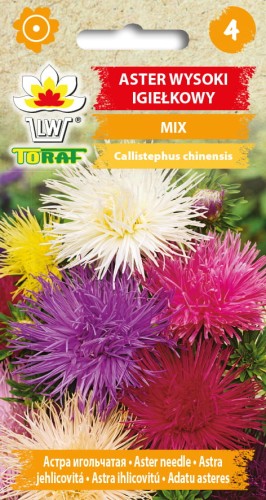 Aster-igiełkowy-MIX.jpg