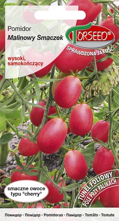 pomidor-malinowy-smaczek.webp