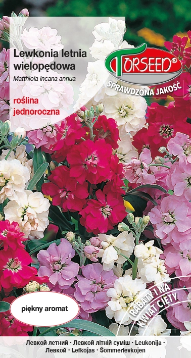 Lewkonia-letnia-wielopędowa.webp