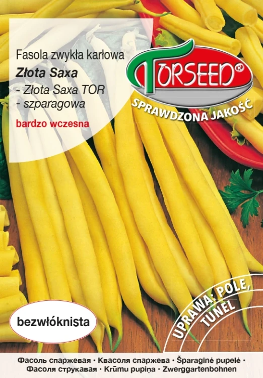 Fasola-szparagowa-Złota-Saxa.webp