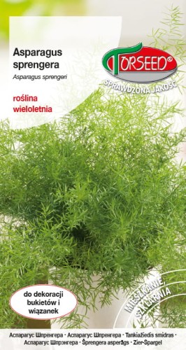 Asparagus sprengera.jpg
