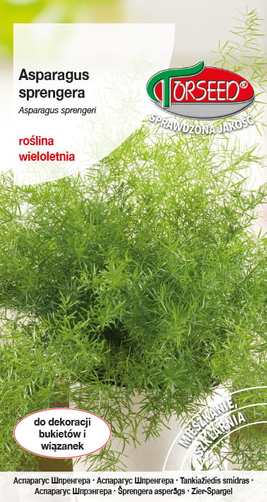 Asparagus sprengera.jpg