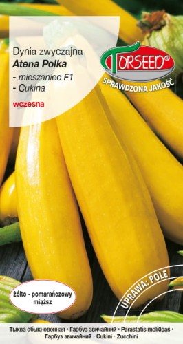 Cukinia Atena Polka.jpg