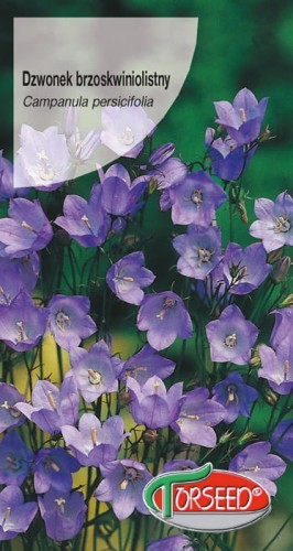 Dzwonek brzoskwiniolistny - niebieski.jpg