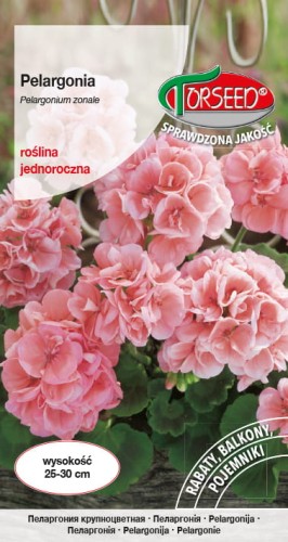 Pelargonia F1 różowa.jpg