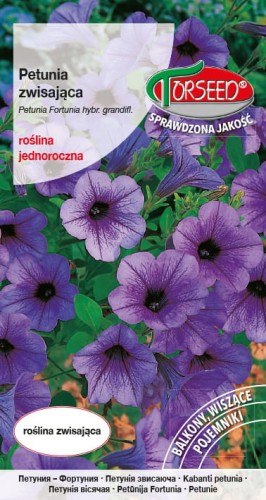 Petunia zwisająca Fortunia fioletowa.jpg