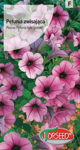 Petunia zwisająca Fortunia różowa.jpg